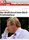 In eigener Sache: Bild ber Wulff
Screenshot: Netzpresse